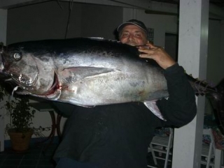  Pêche au thon 